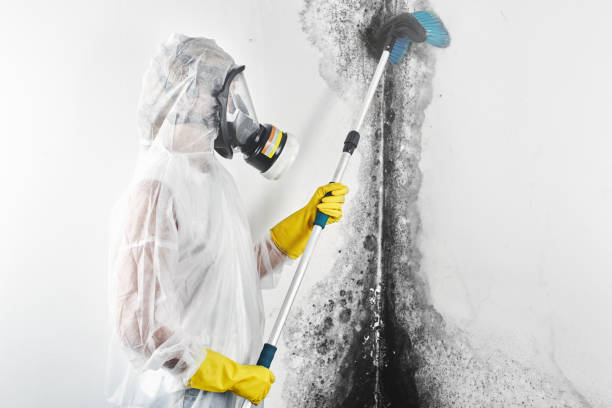 Best Mold Prevention Services  in Plainsboro Center, NJ