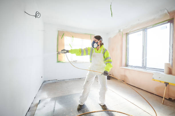 Best Mold Damage Restoration  in Plainsboro Center, NJ