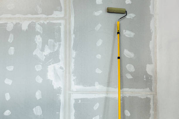 Best Black Mold Removal  in Plainsboro Center, NJ