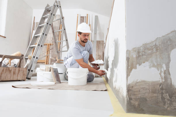 Best Black Mold Removal  in Plainsboro Center, NJ
